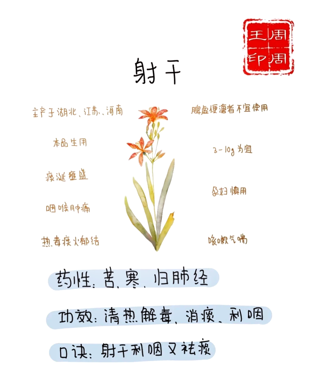 祛痰止咳,改进呼吸系统难题