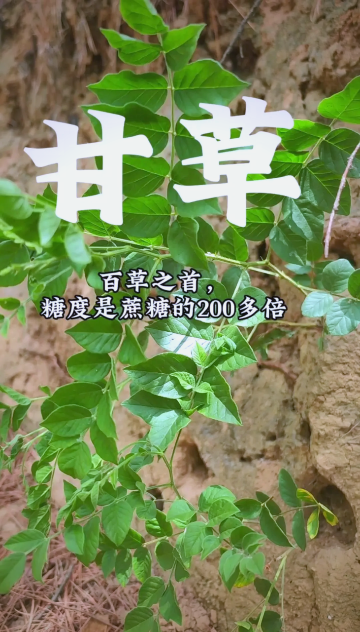 自然的力量,值得信赖