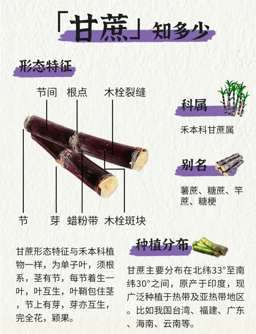 清热润燥,适宜夏天食用