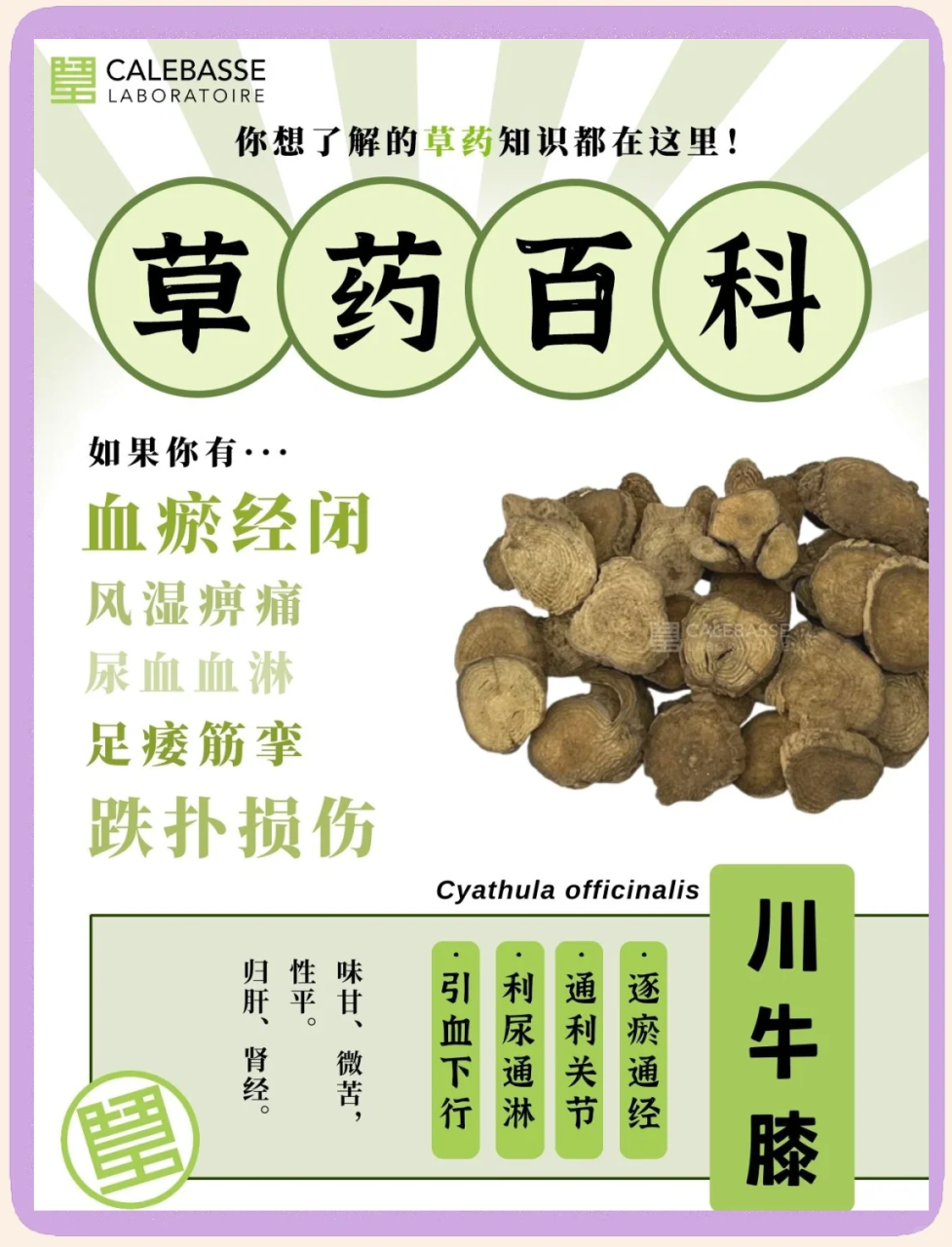 结果:合理安排牛膝,提升生活质量