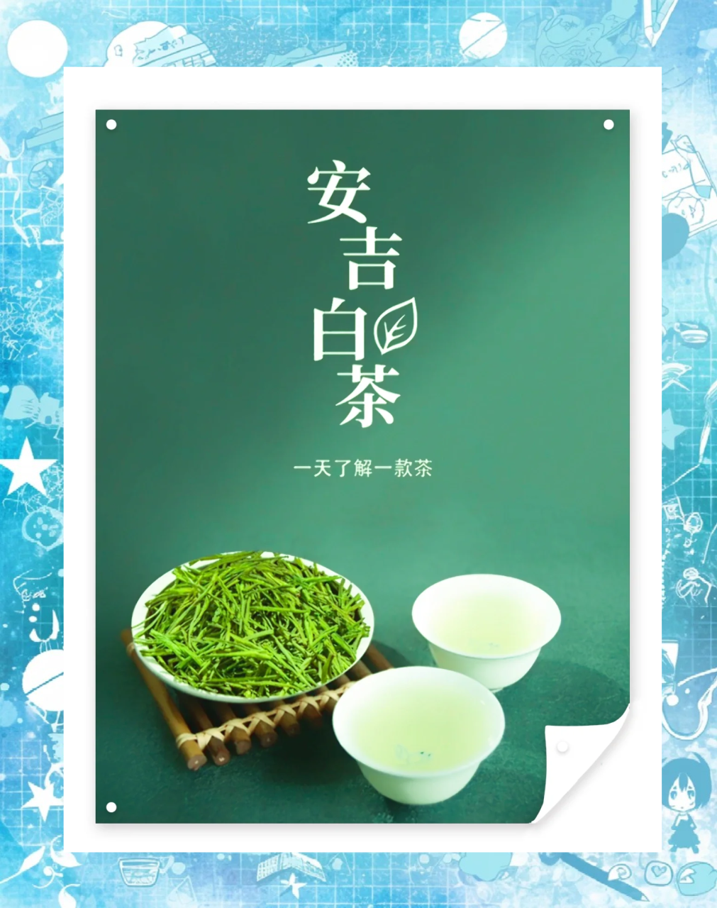 如何正确饮用安吉白茶