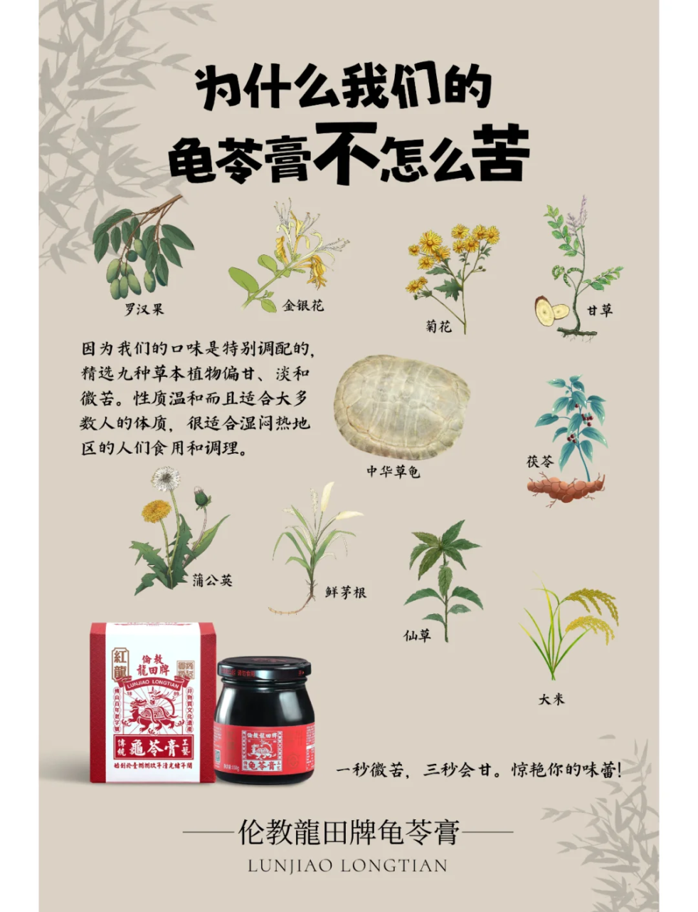 润肠通便,改善消化问题