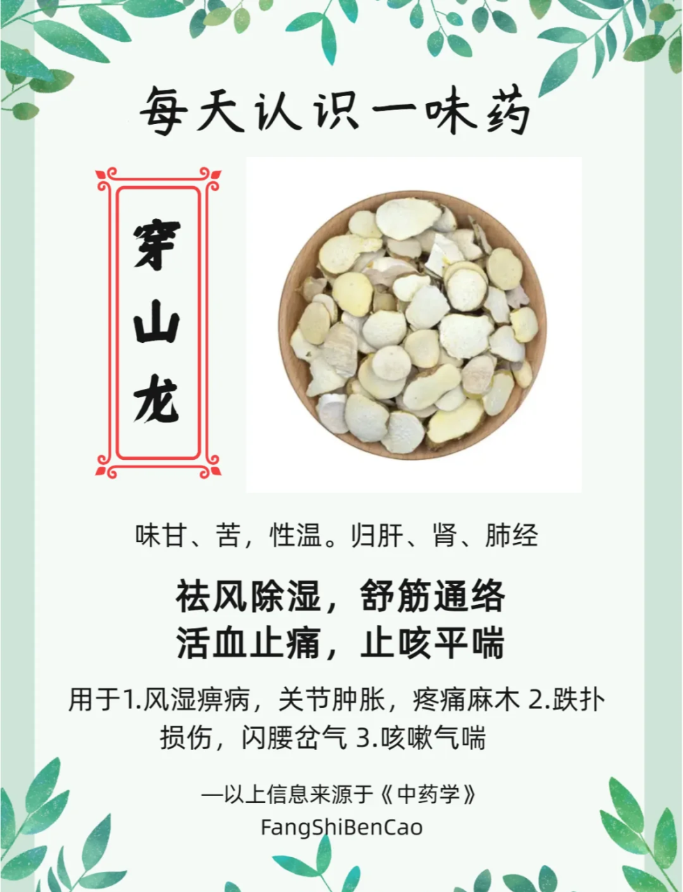 现代医学对煅龙骨的研究