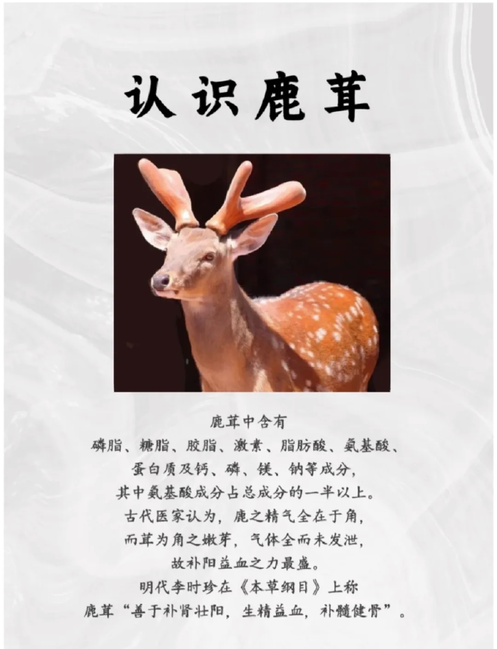 注意事项不可忽视