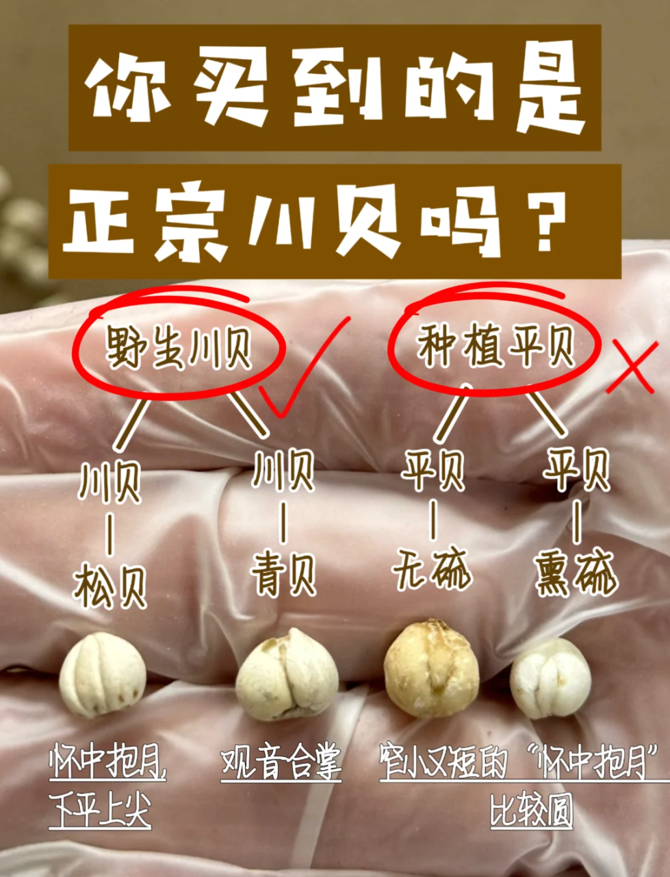 常见用途与搭配方式