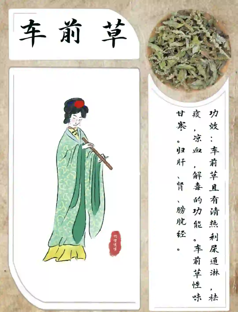 抗炎抗菌,守护身体健康