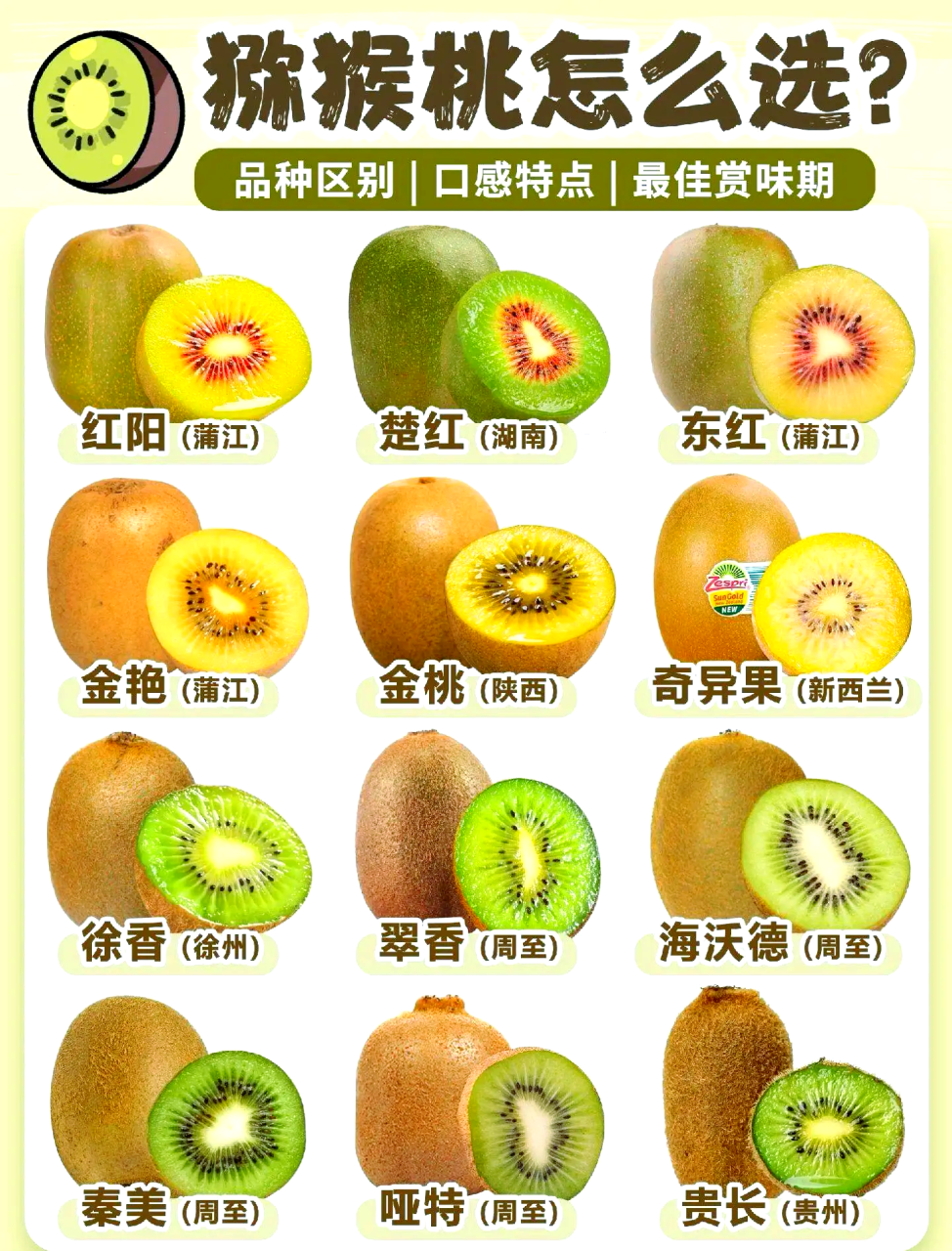 适合各年龄段人群食用