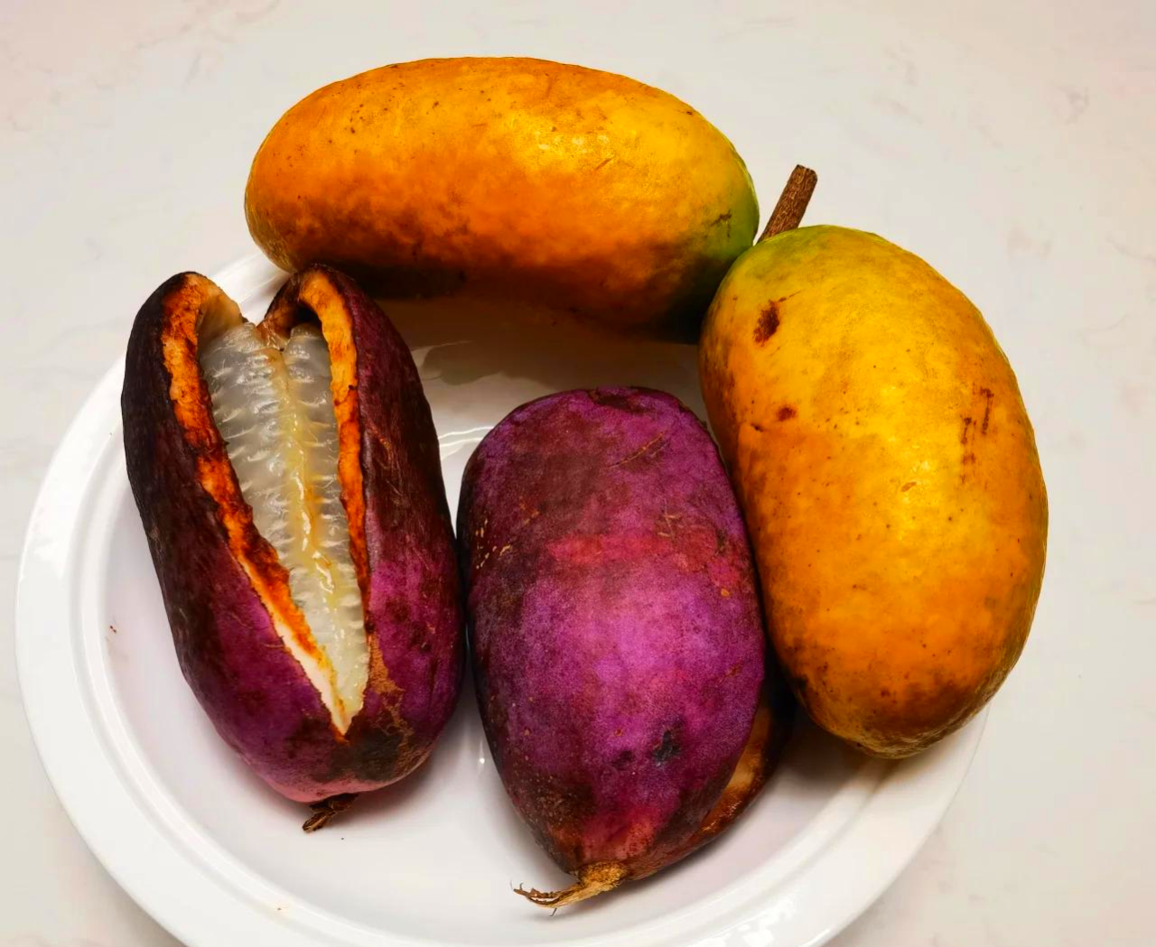 八月炸的功效与作用