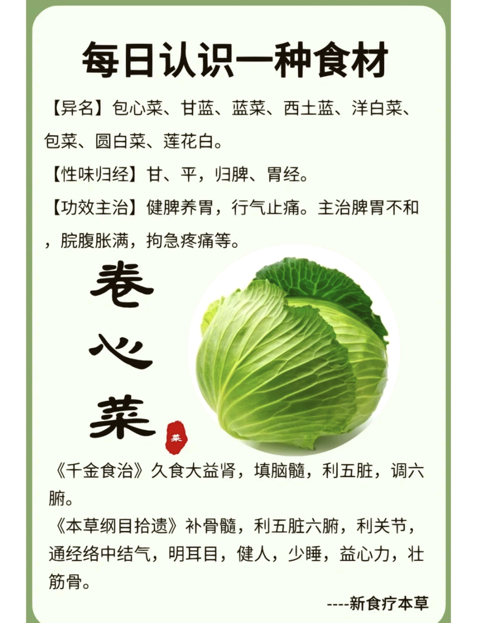 包菜,其实很特别