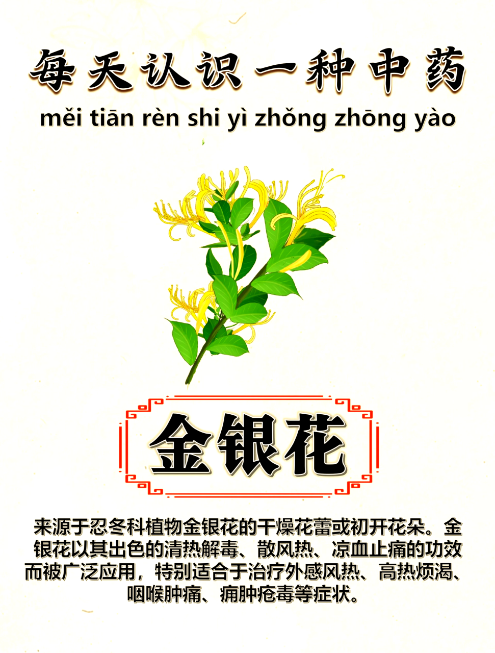 美容养颜,天然护肤