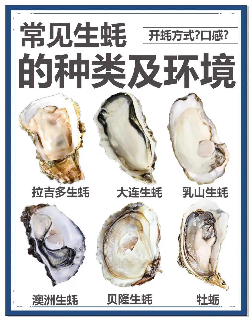 促进发育和记忆能力提升