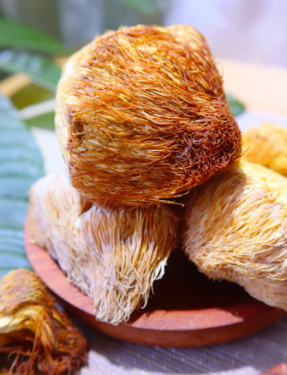 如何把猴头菇融进日常饮食搭配