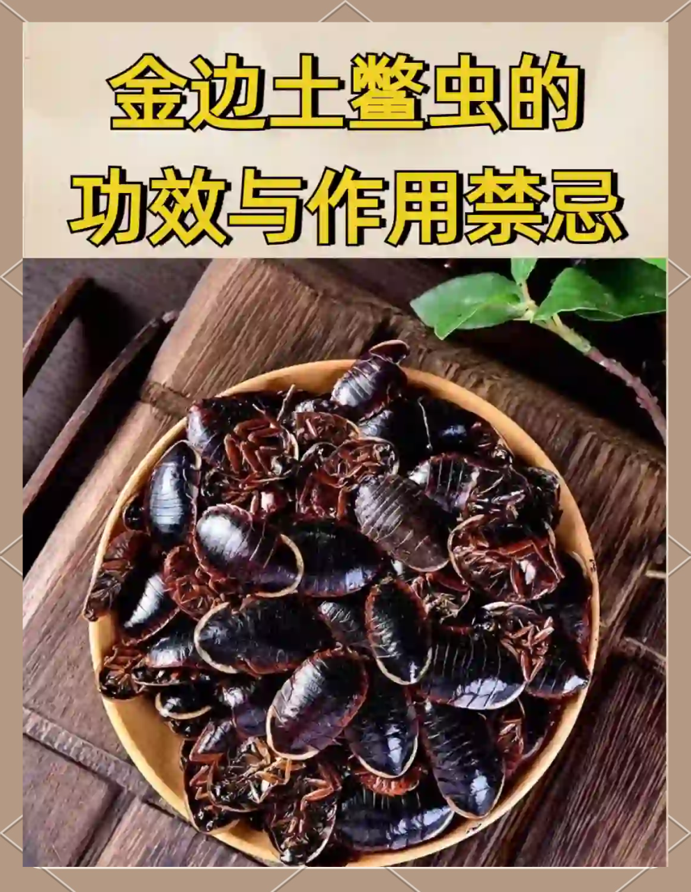 鳖甲的常见用法与搭配