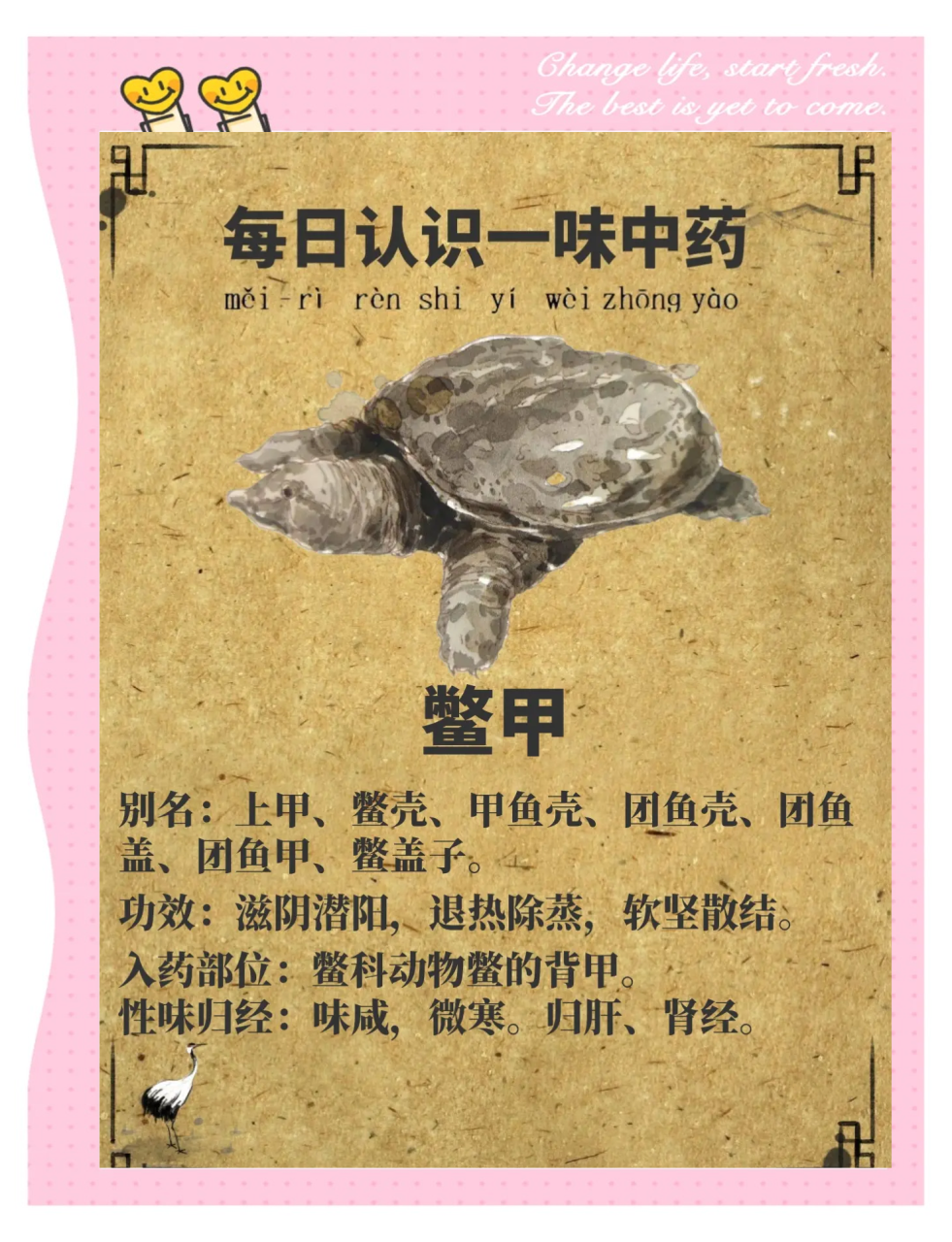 选购与使用小贴士