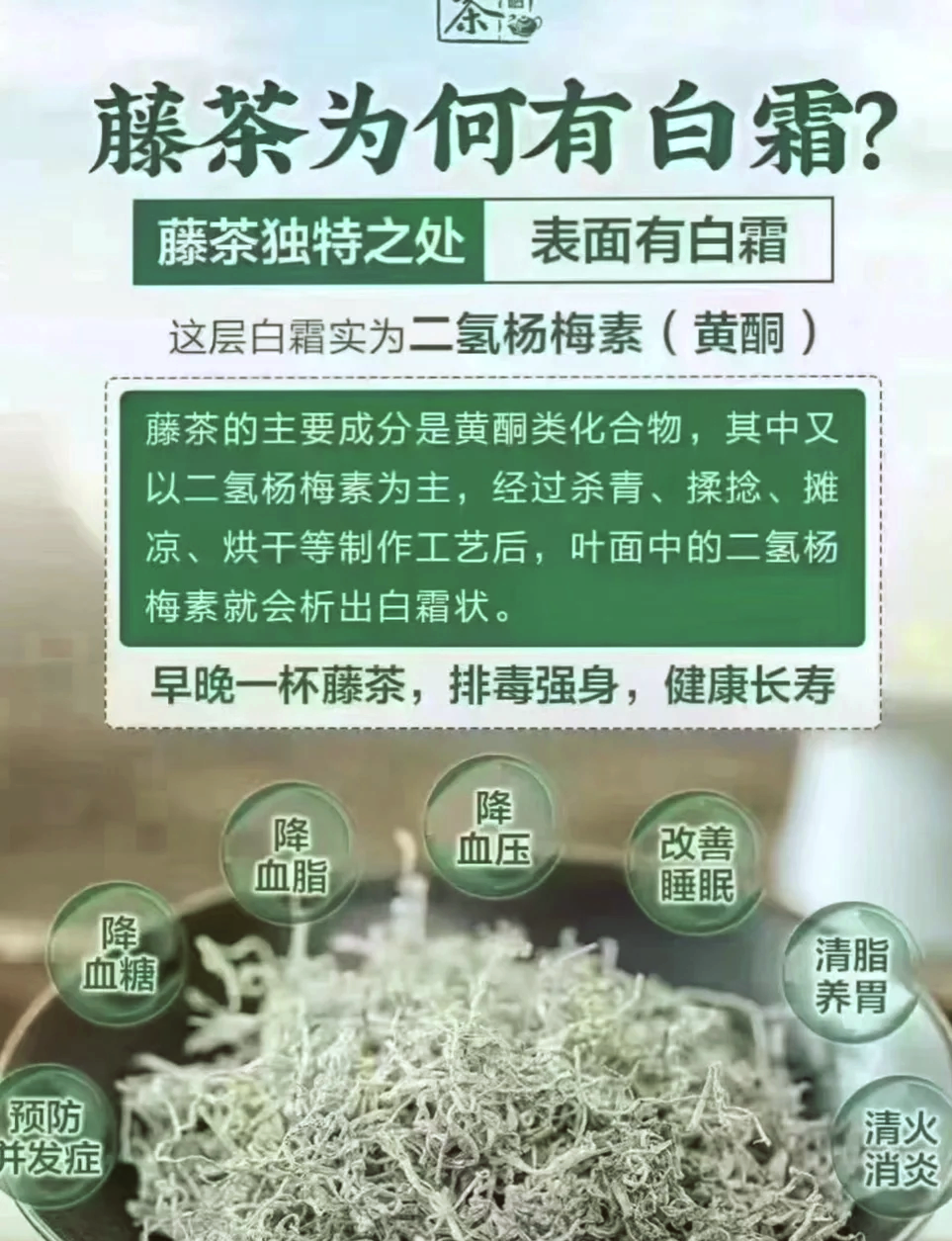 日常饮用方式和注意事项