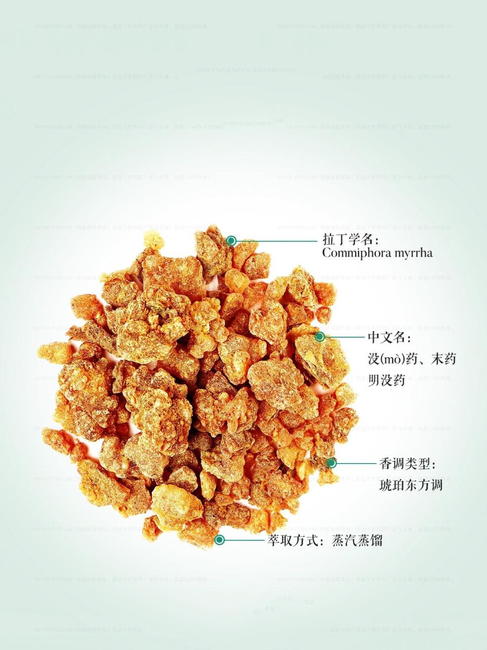 常见用途与使用方法