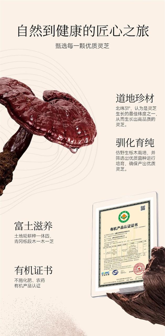 调节人体免疫系统