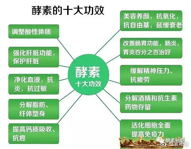 酵素的健康益处