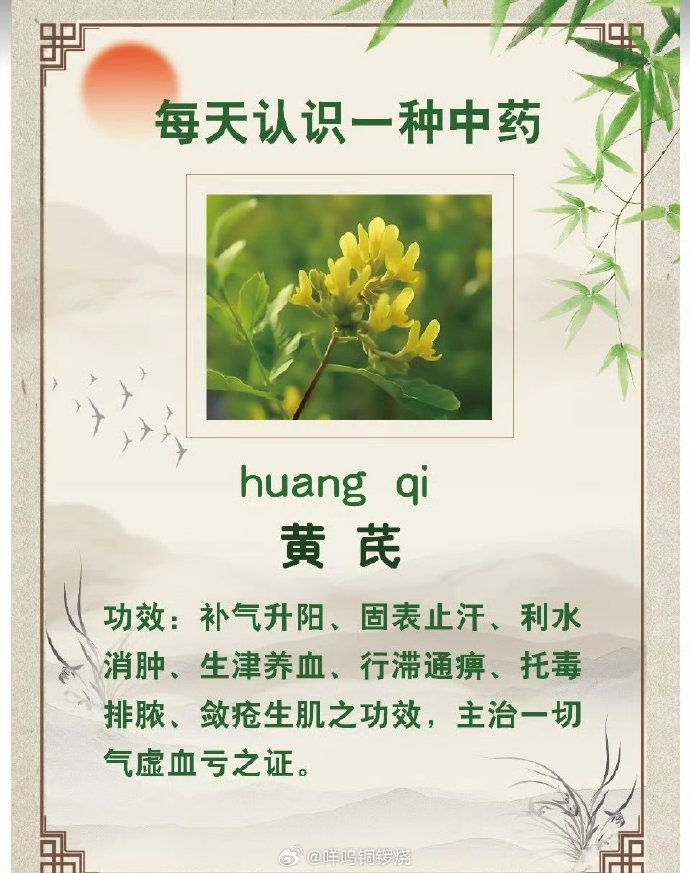 提高免疫力,延缓衰老