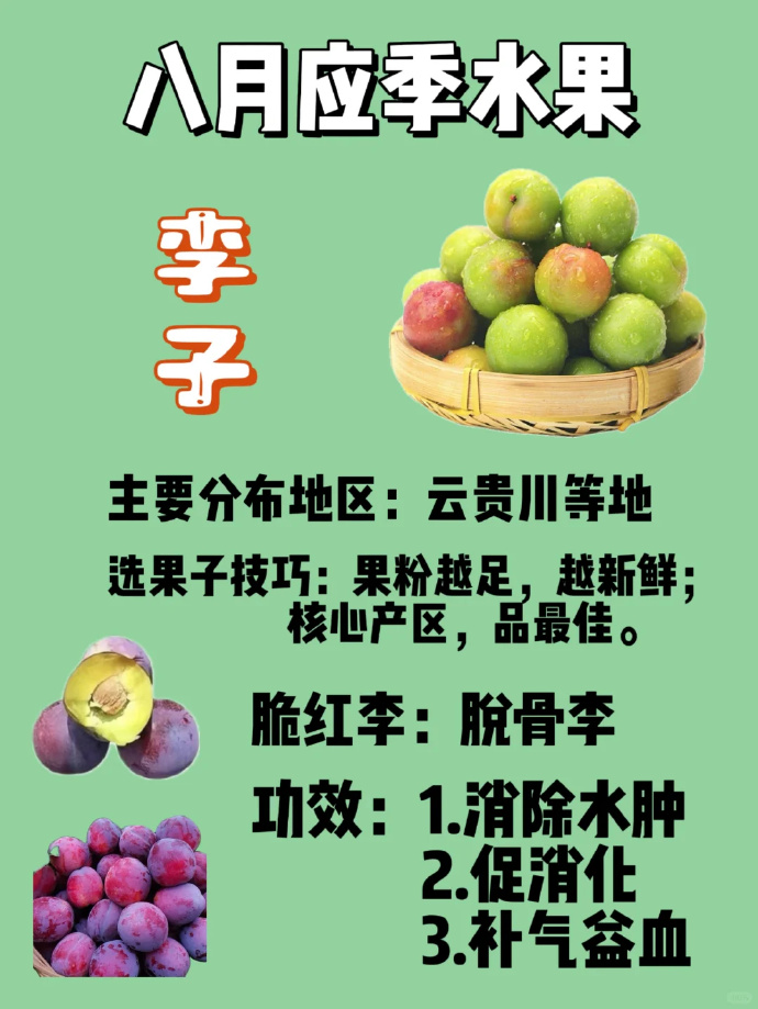 促进消化,改善肠道作用