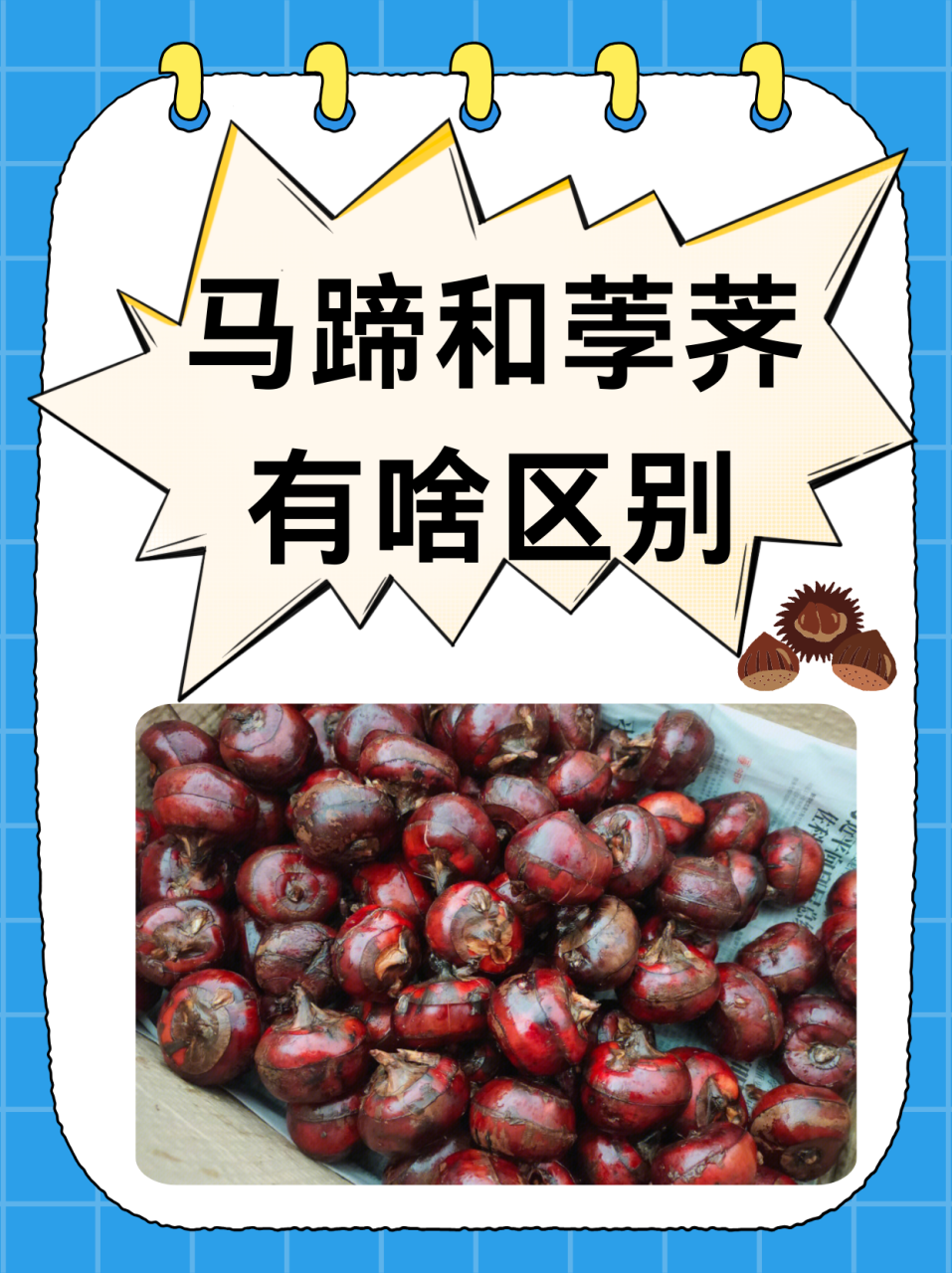 多种健康益处不容小觑