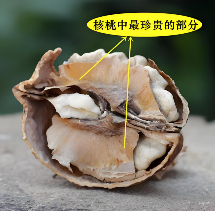 保护心血管,预防疾病