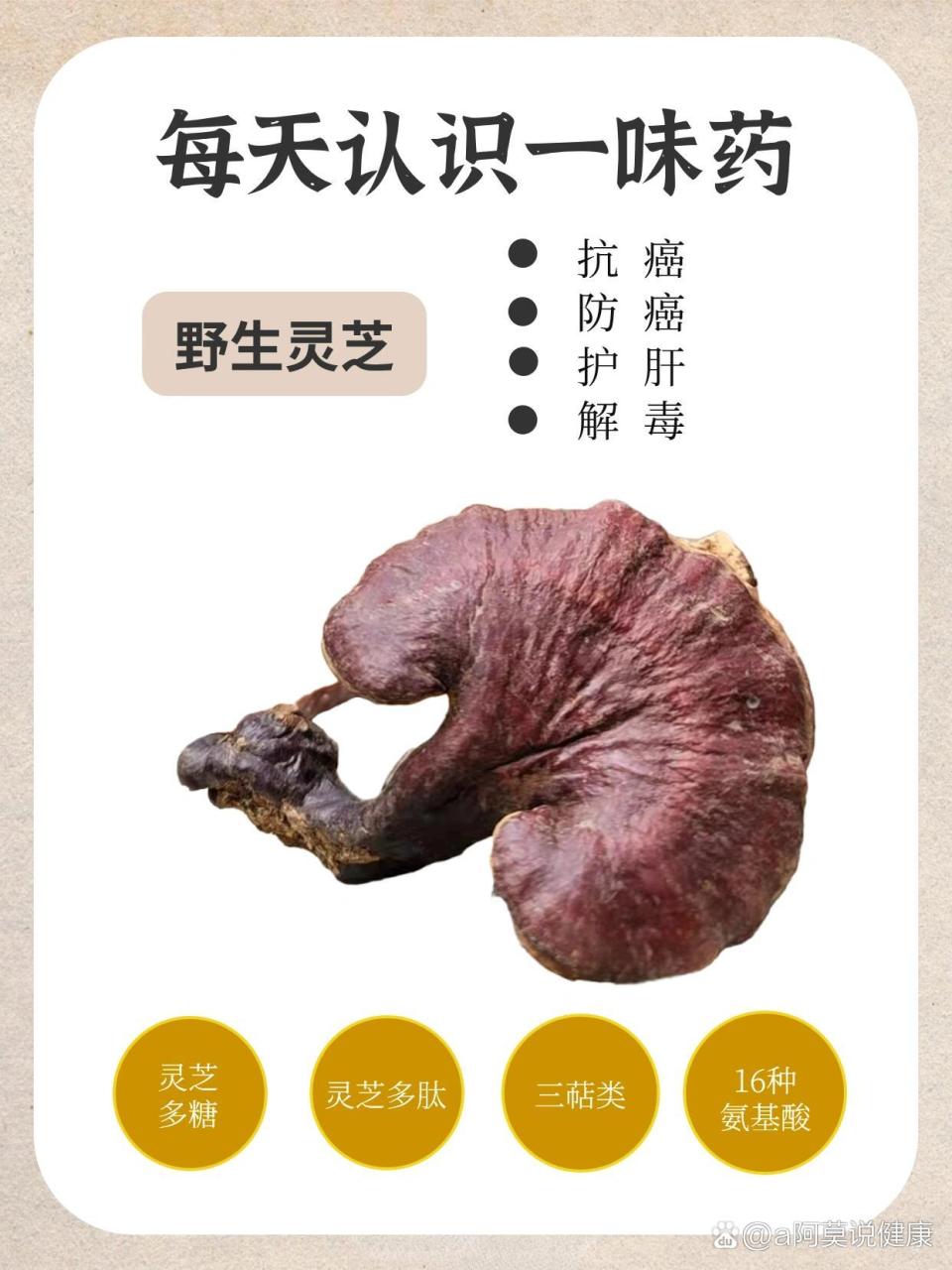 传统智慧,传承千年