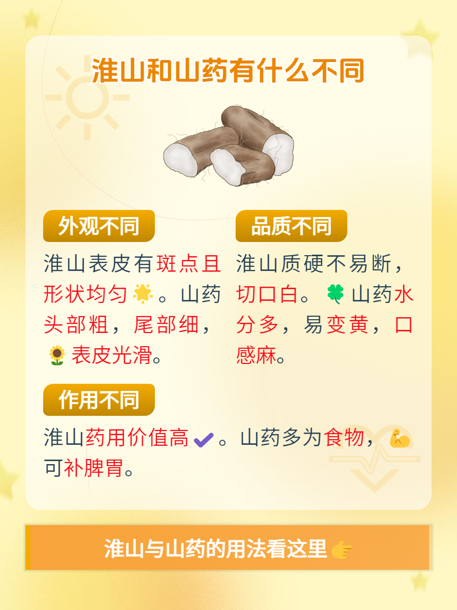 增强免疫力,延缓衰老