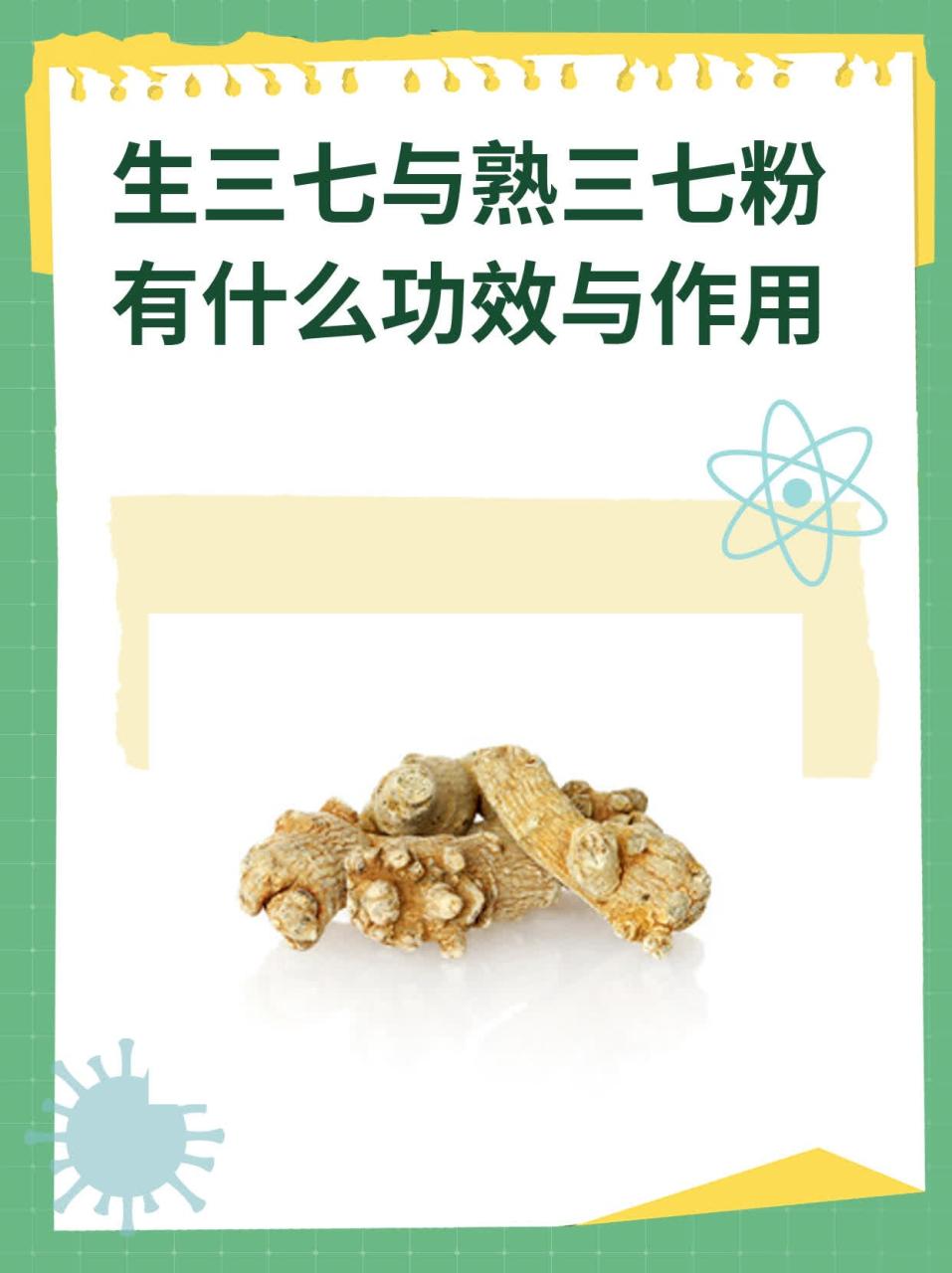 三七粉的现代应用与注意事项