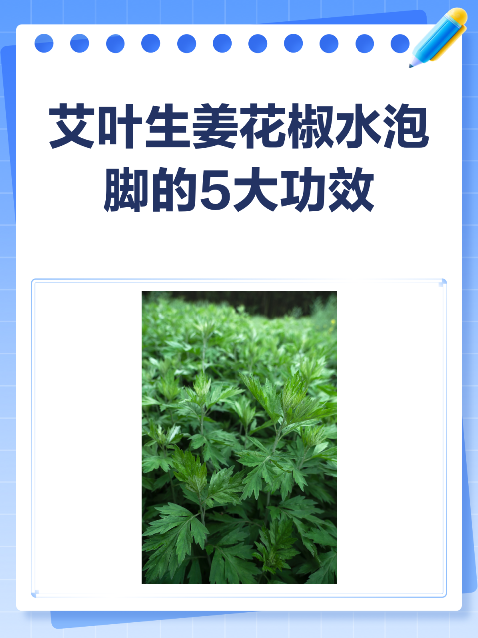 正确的艾叶泡脚方法