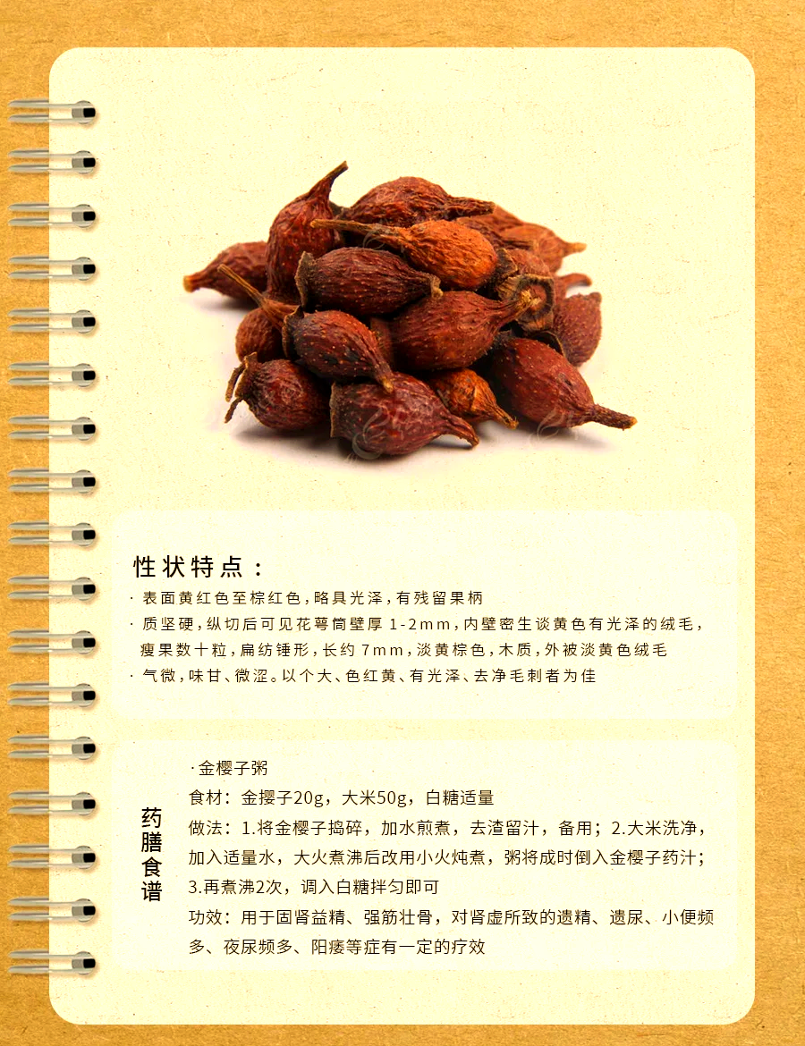 日常生活中的实用建议