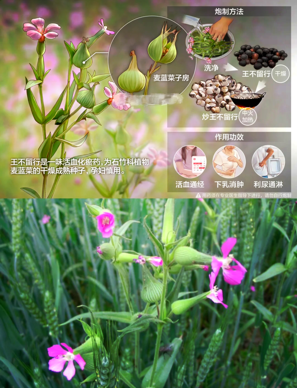 日常生活中的实用价值