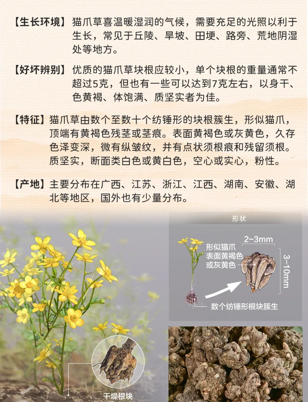 提高免疫力,调整身体素质