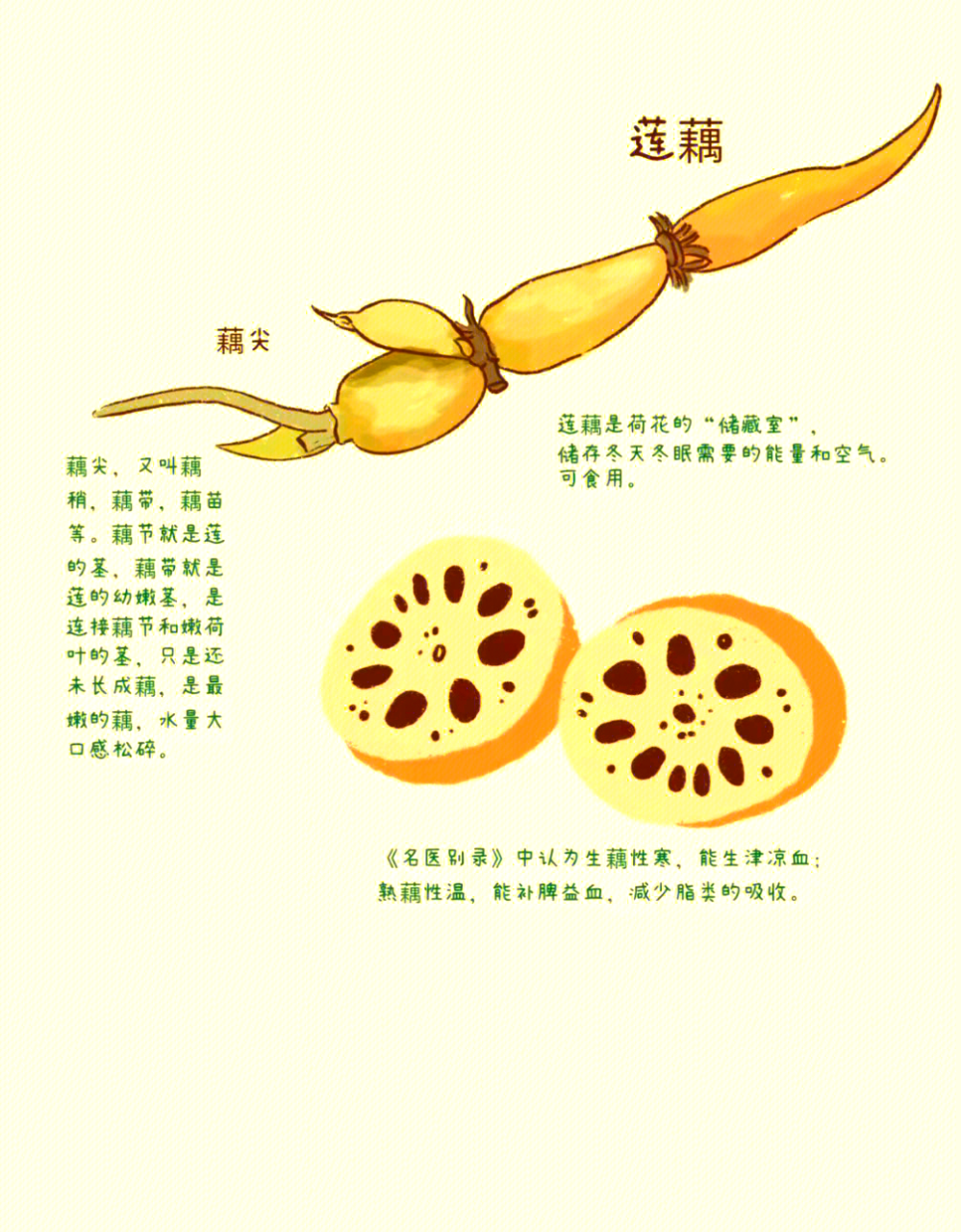 适用于各种群体服用