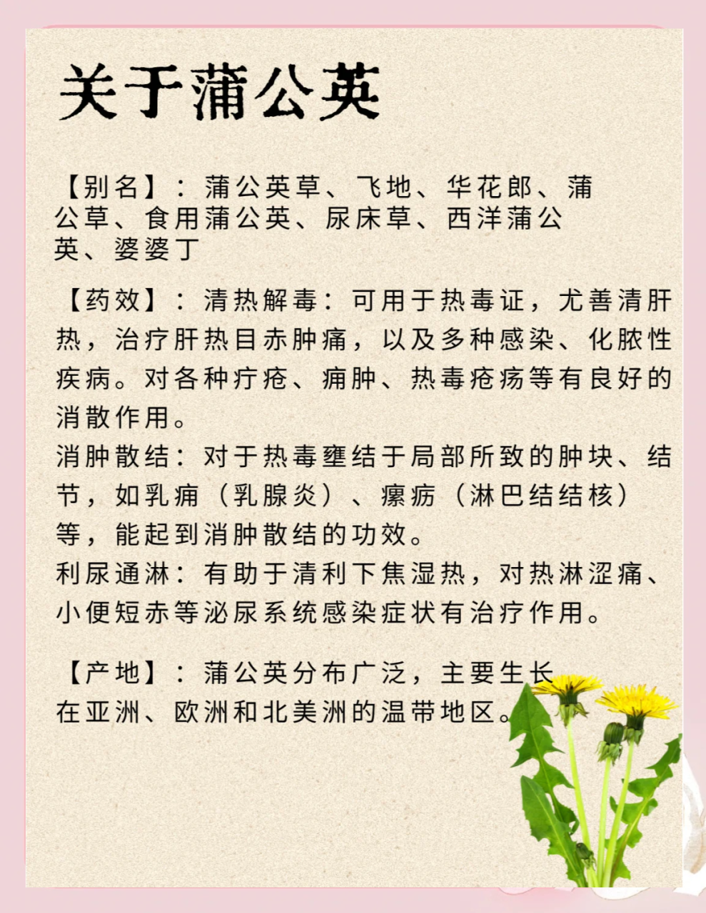 提高免疫力,增强体质