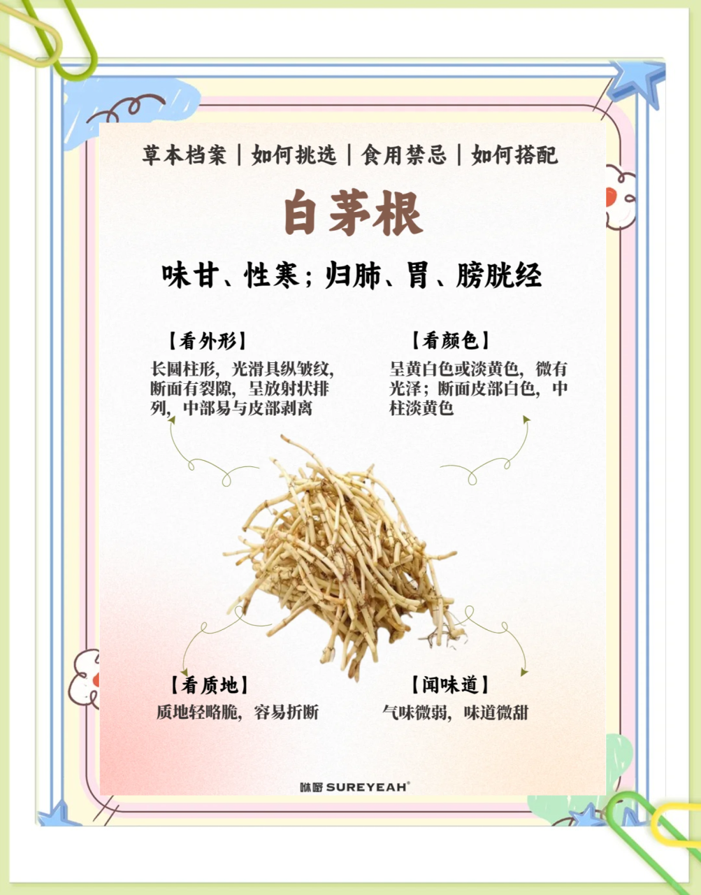 促进消化,调理肠胃