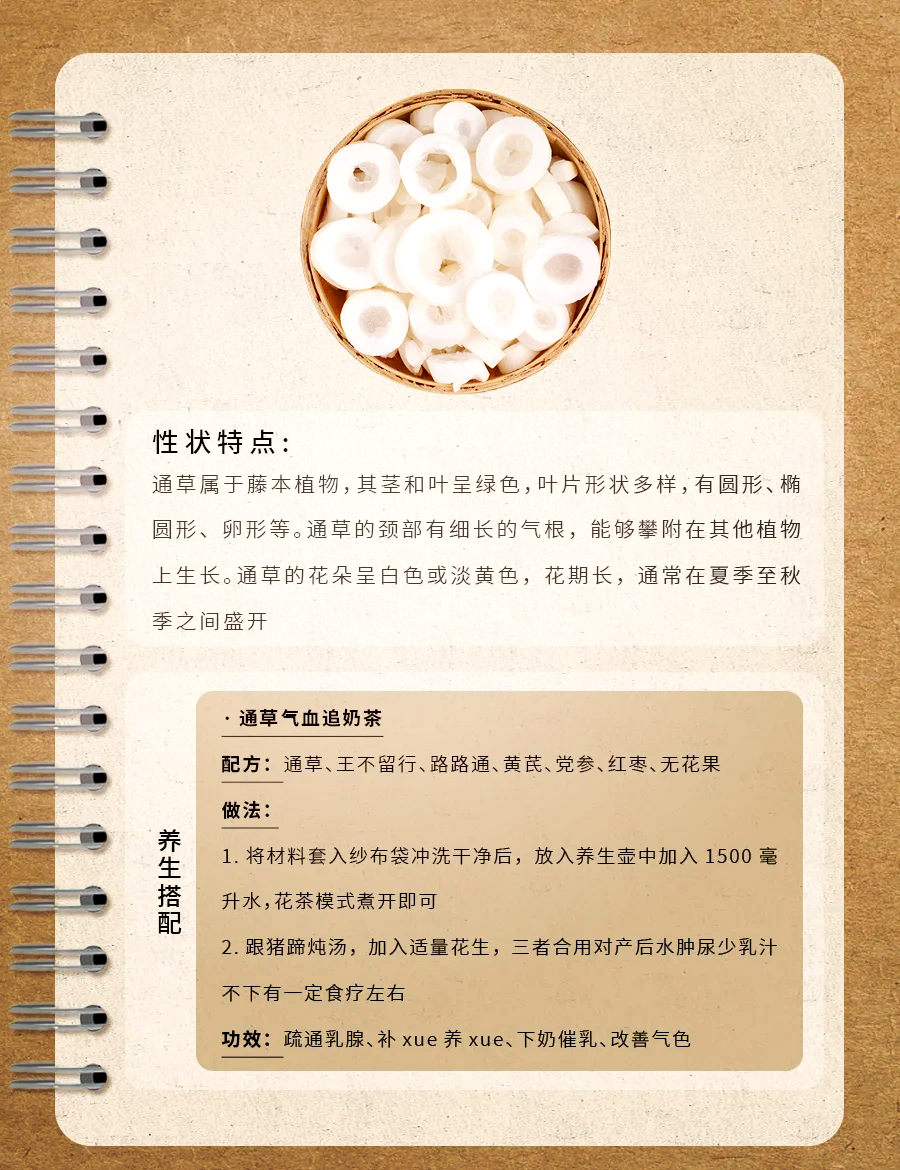 常见用途与搭配