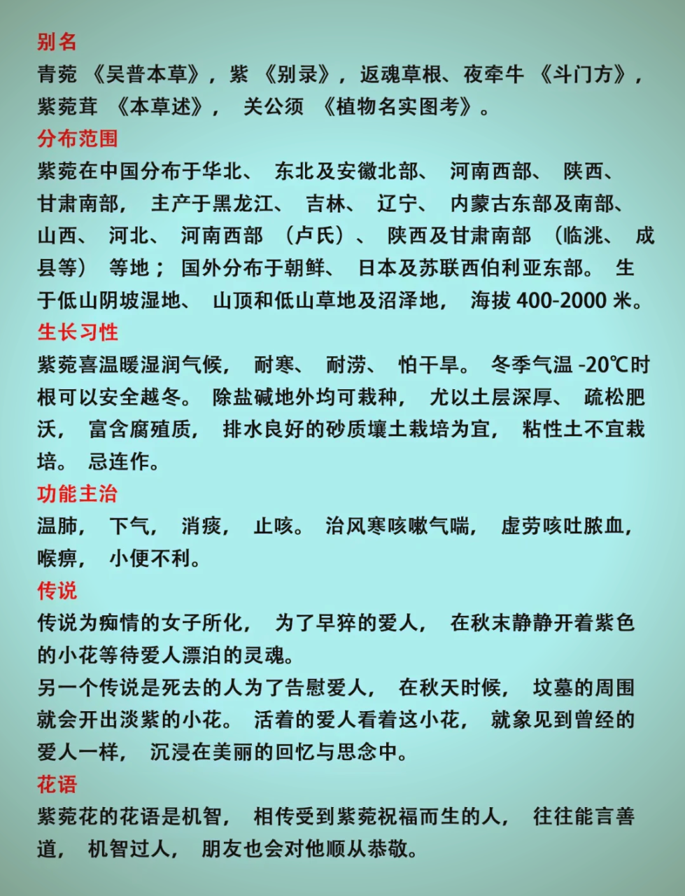 紫苑的现代研究与应用