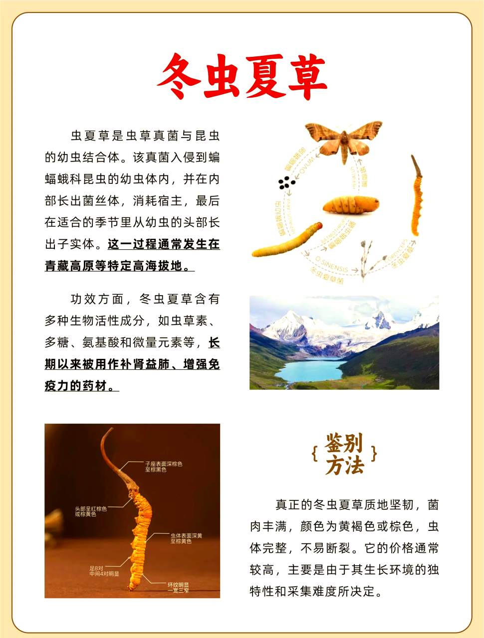 抗衰老和美容的自然选择学说