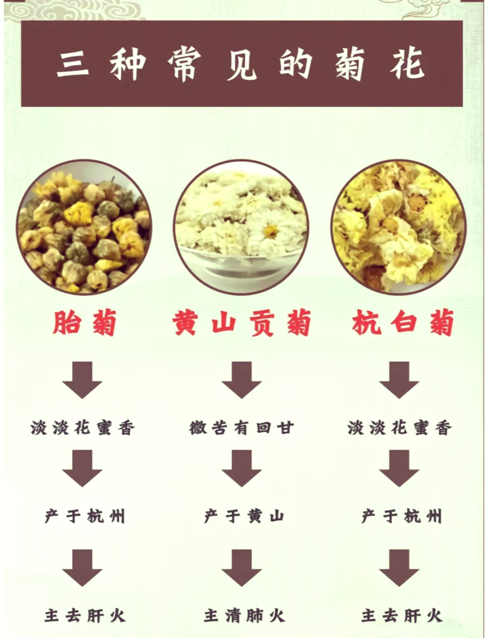 胎菊的健康益处