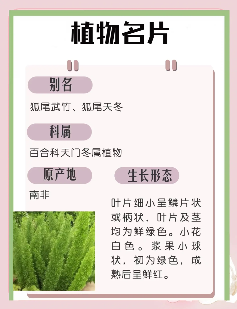 食用方式多样,健康又美味