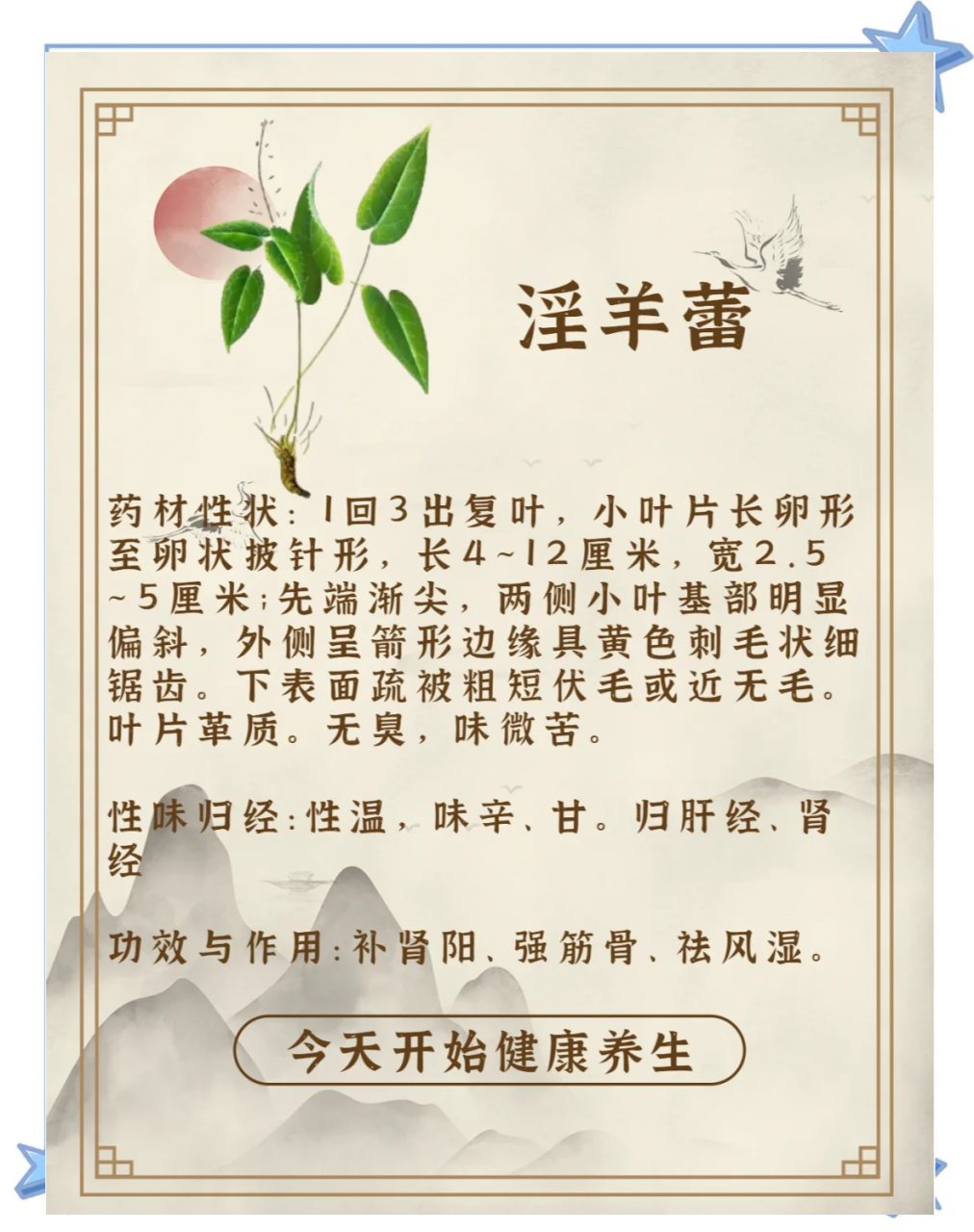 淫羊藿的常见用途