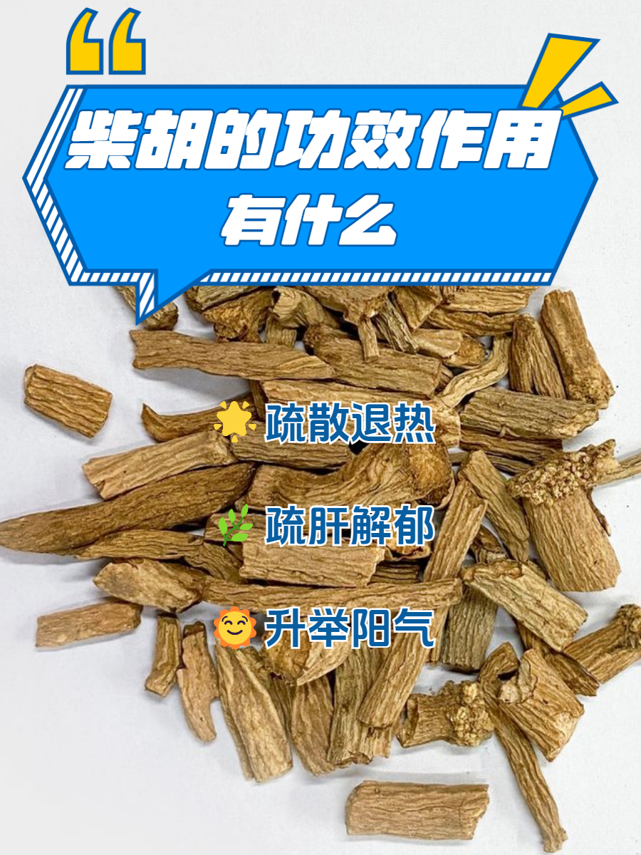 常见用途与搭配建议