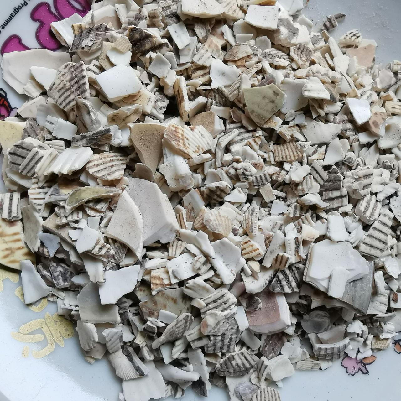 临床应用与前景