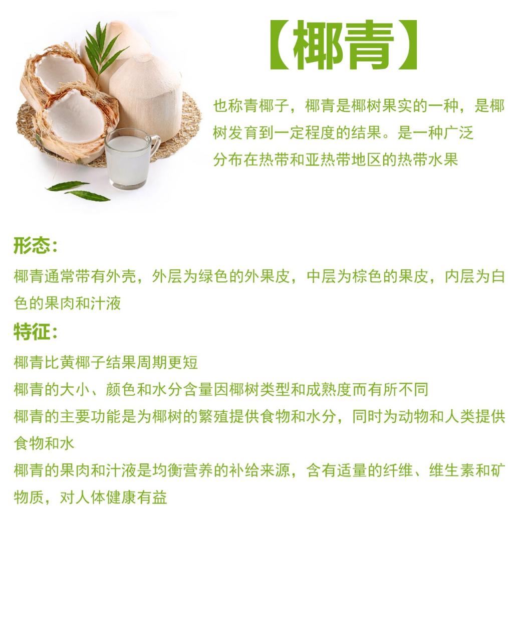 促进消化与排毒