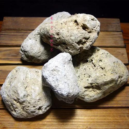 日常保健的小帮手