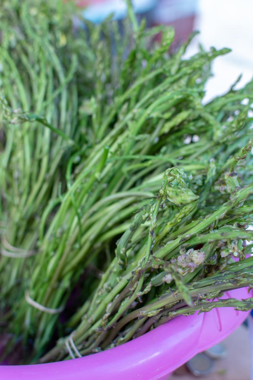 龙须菜有哪些健康功效？