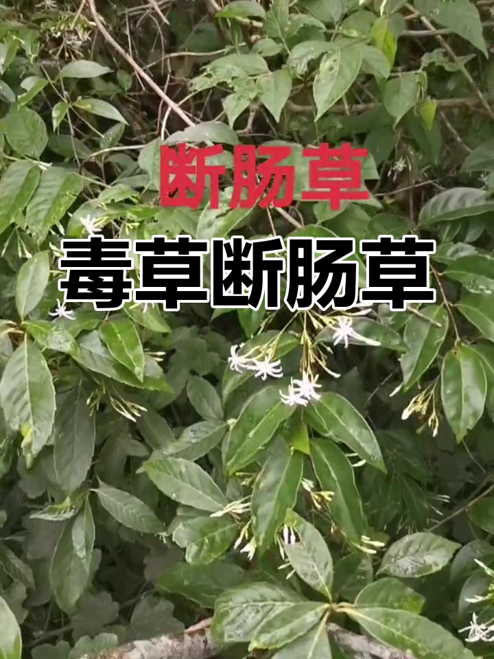 四、正确了解,远离误区