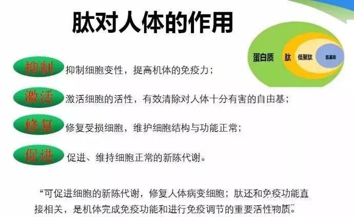 结果:肽,从里到外绽放光彩
