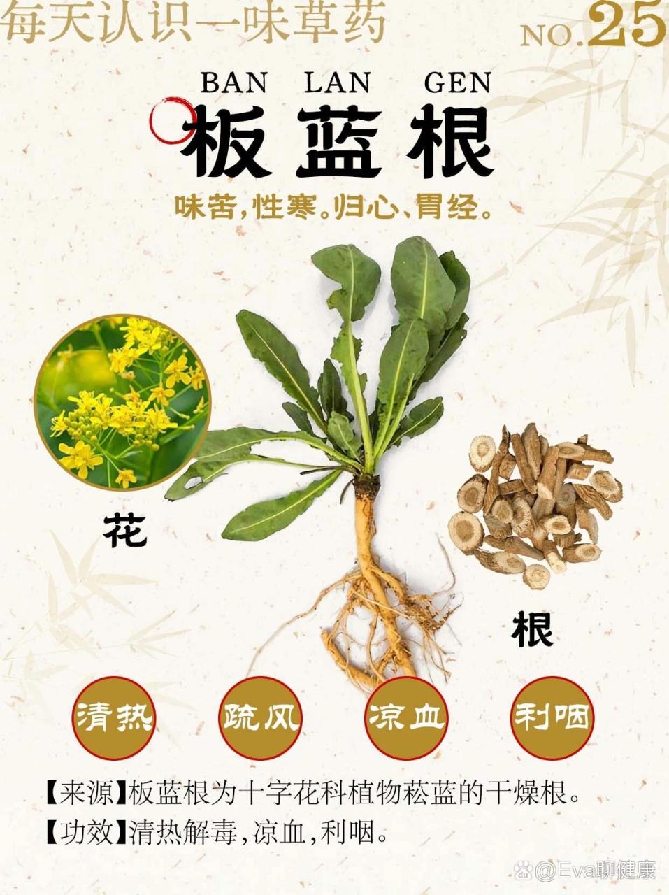 适合哪些人群使用?